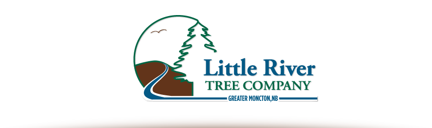 Little River Tree Company